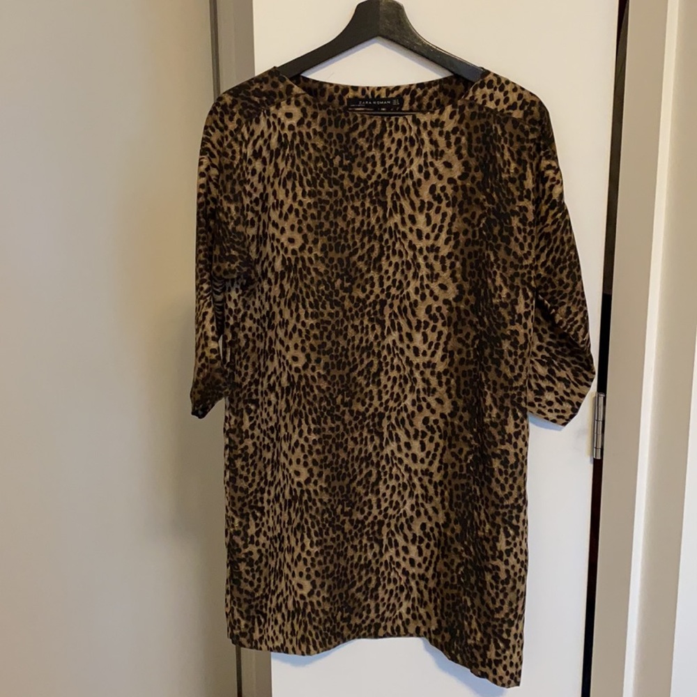 Zara dress